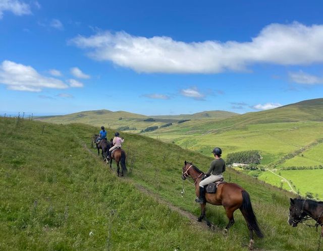 Riders on horses on a grassy hillside trail overlooking a green valley under a blue sky