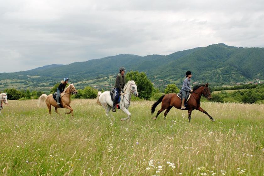 The Best of Transylvania