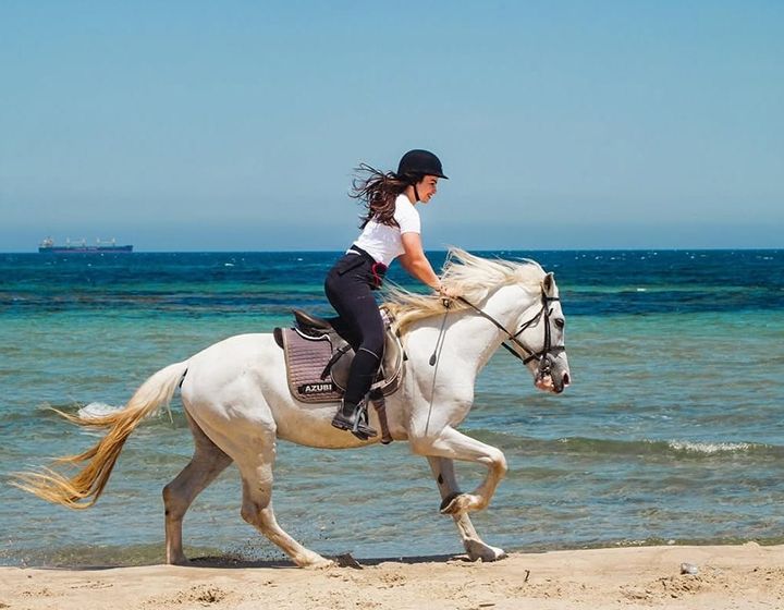 Person riding a white horse along a sandy beach beside the blue sea