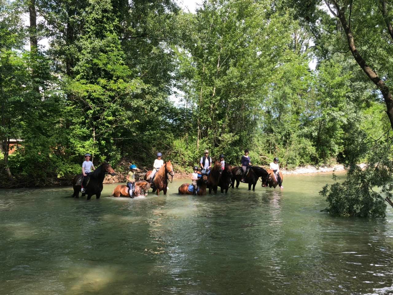 Slovenia’s Castles, Lakes & Horses