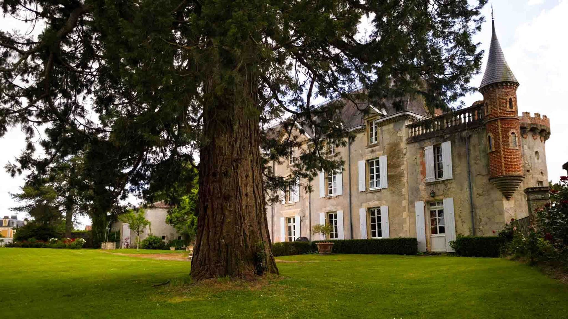 Large tree on a green lawn beside a historic stone house with a turret and tall windows
