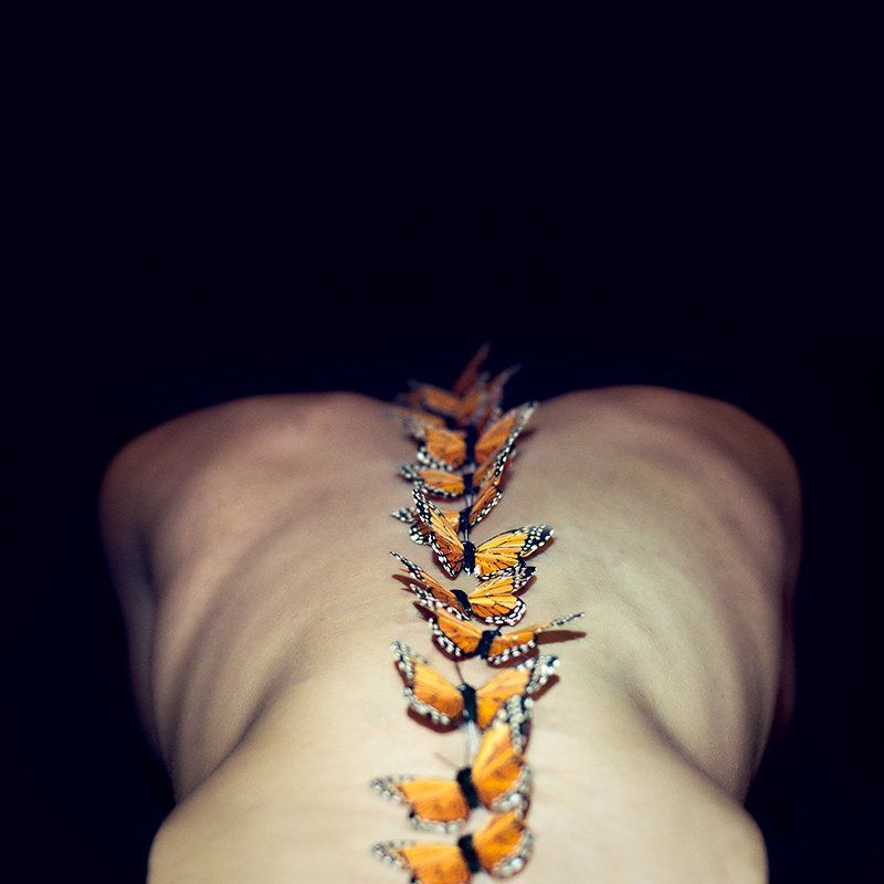 Image of I've Given You Wings