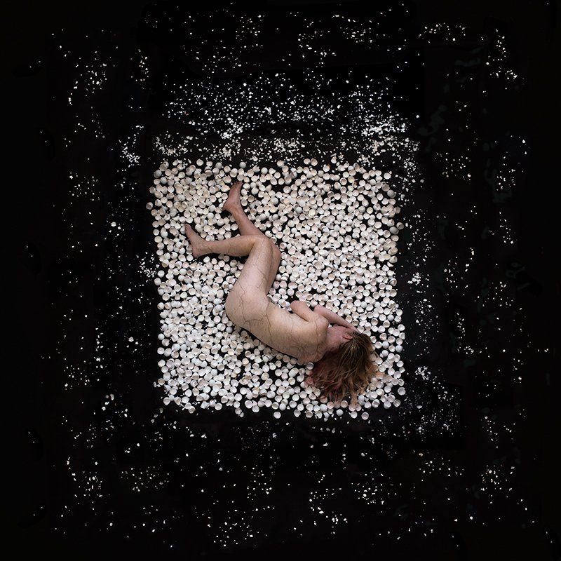 Image of Eggshells