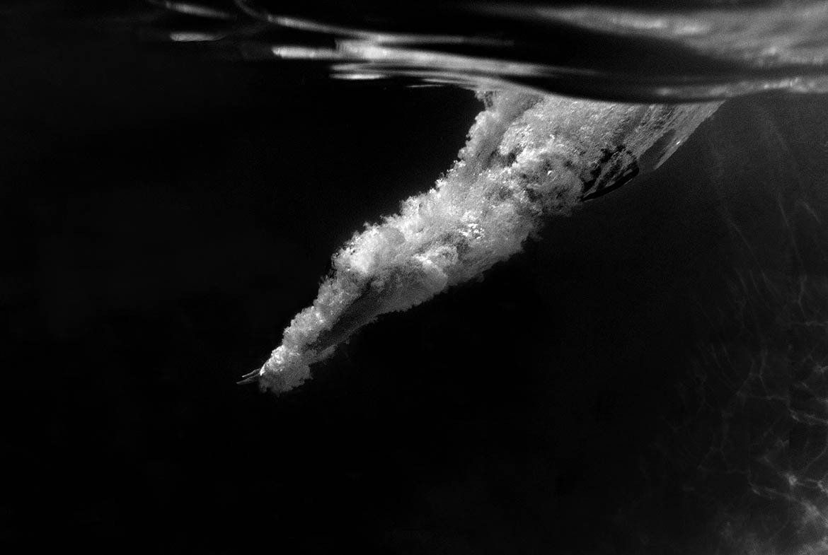 Image of The Plunge