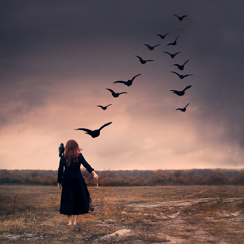Person in a dark dress stands in a barren field at dusk, watching birds fly into a cloudy sky.