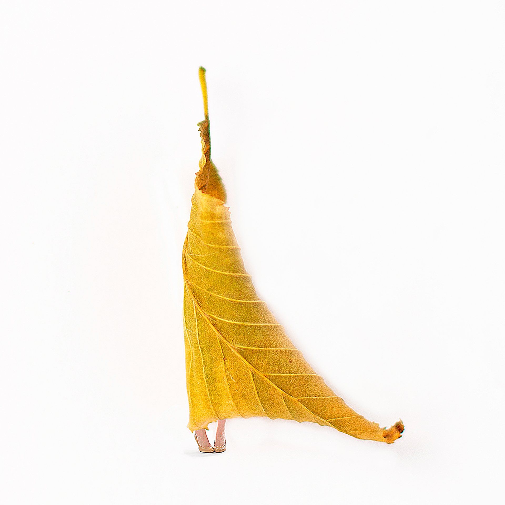 Image of Styled by Nature 11