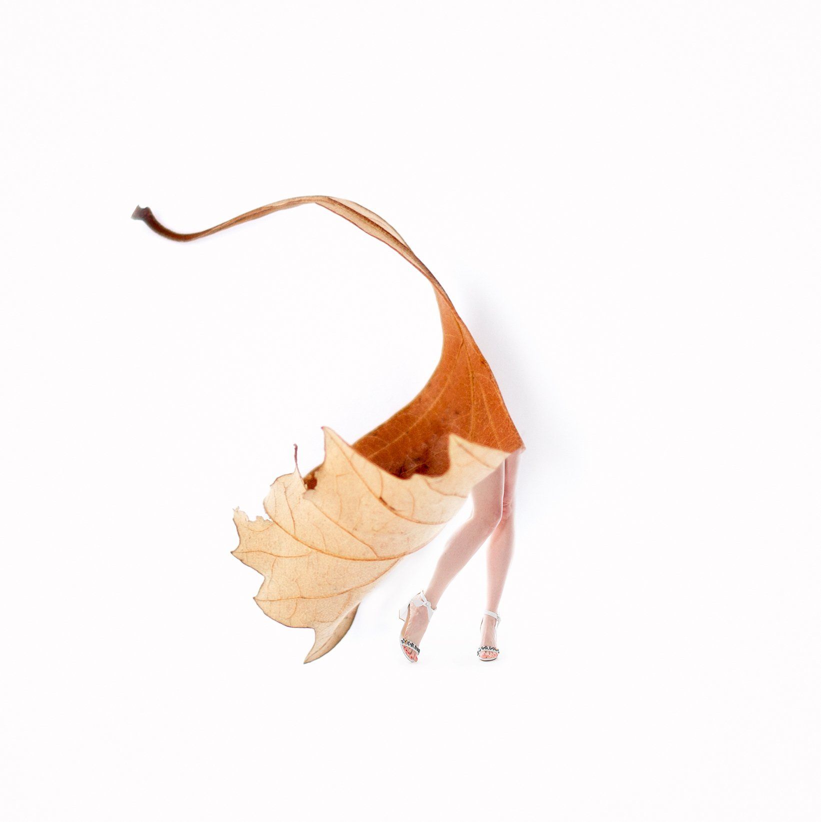 Image of Styled by Nature 3