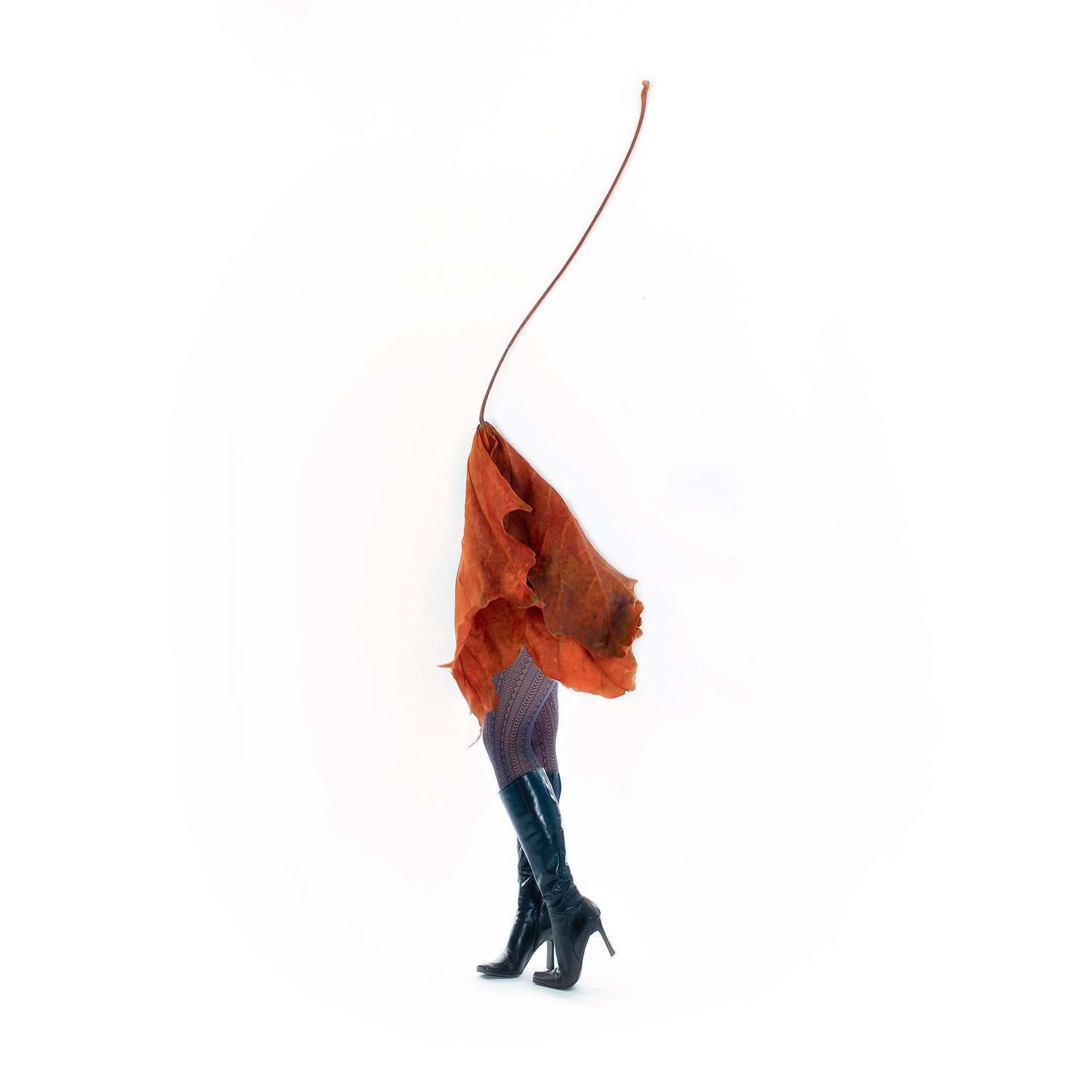 Image of Styled by Nature 4