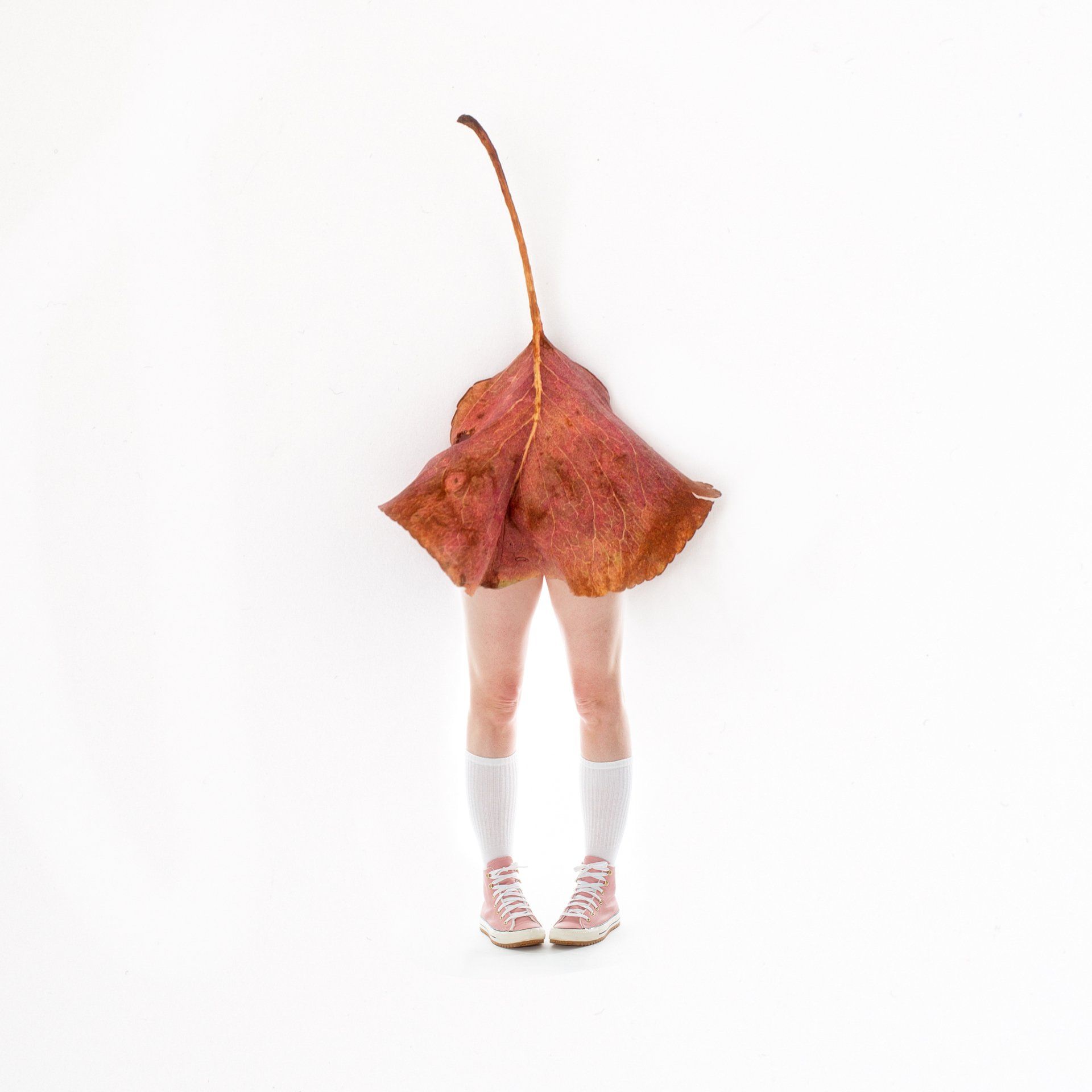 Image of Styled by Nature 5
