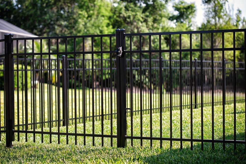 Black Metal Fence In A Grassy Yard With Trees In The Background — Mission Beach Property Management in Wongaling Beach, QLD