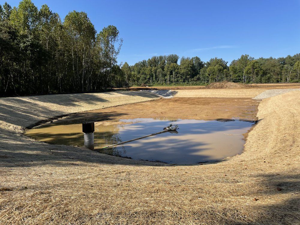 A small pond in the middle of a field with trees in the background.
