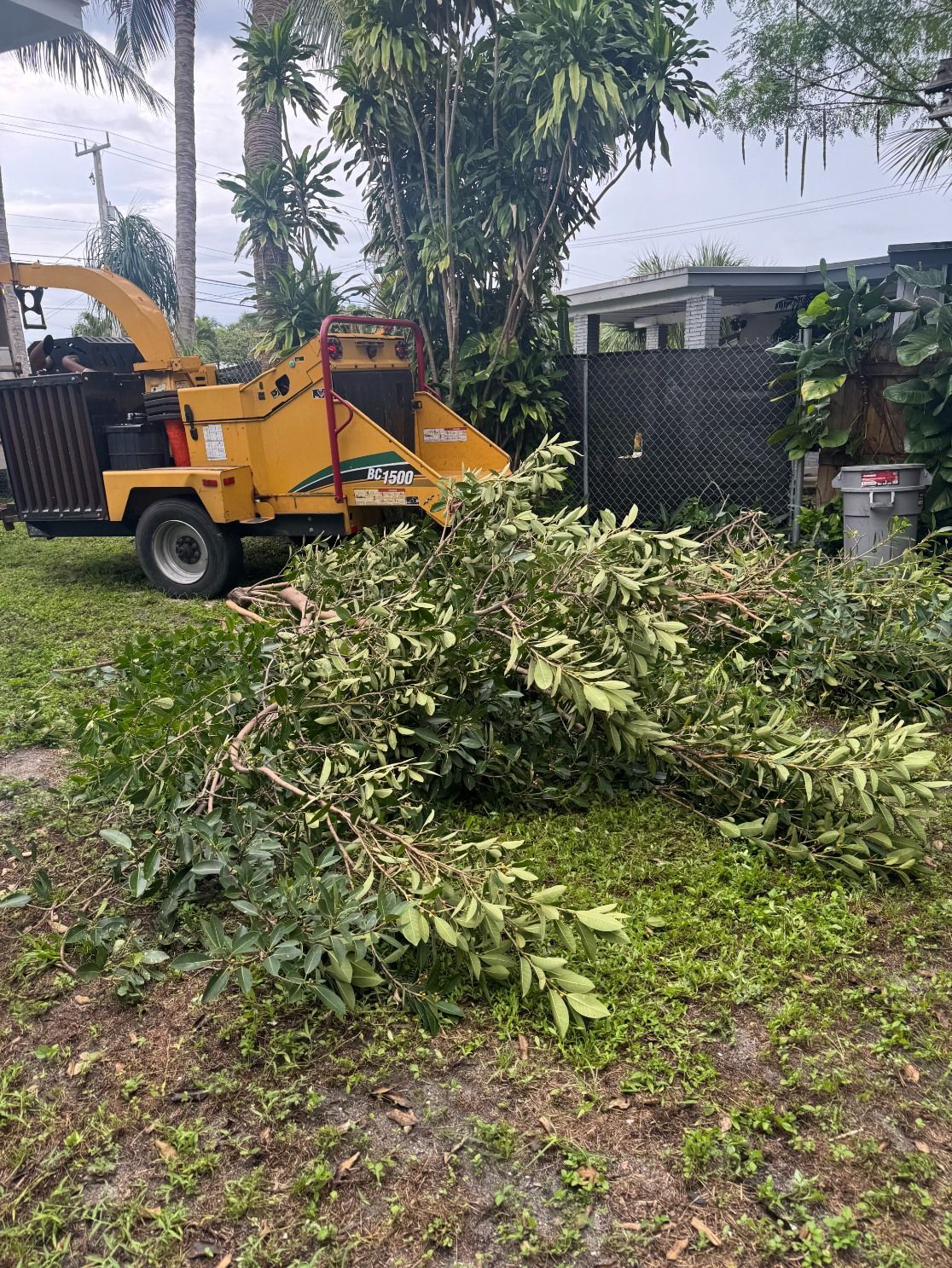 A yellow industrial wood chipper sits on a grassy yard next to a pile of freshly cut tree branches and foliage.
