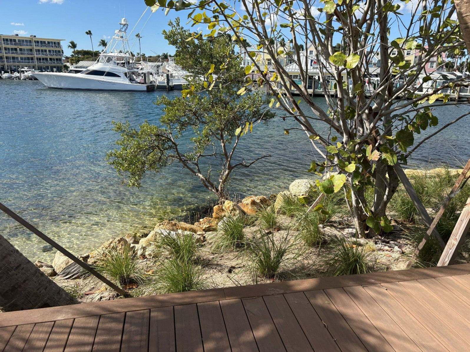 A wooden deck overlooks a sunlit harbor with a white yacht docked in calm, clear blue water near trees and sandy shore.
