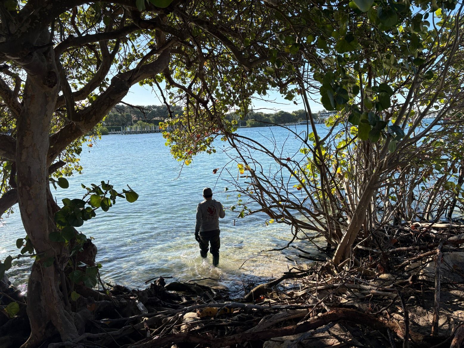 A person walks into shallow, sunny water from a tree-lined, shaded shoreline.