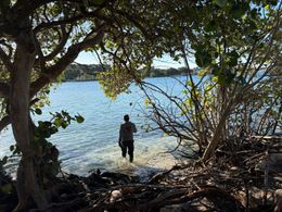 A person walks into shallow, sunny water from a tree-lined, shaded shoreline.