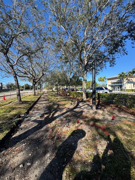A dirt path winds through a line of leafless trees under a clear blue sky, next to a manicured hedge and a parking lot.