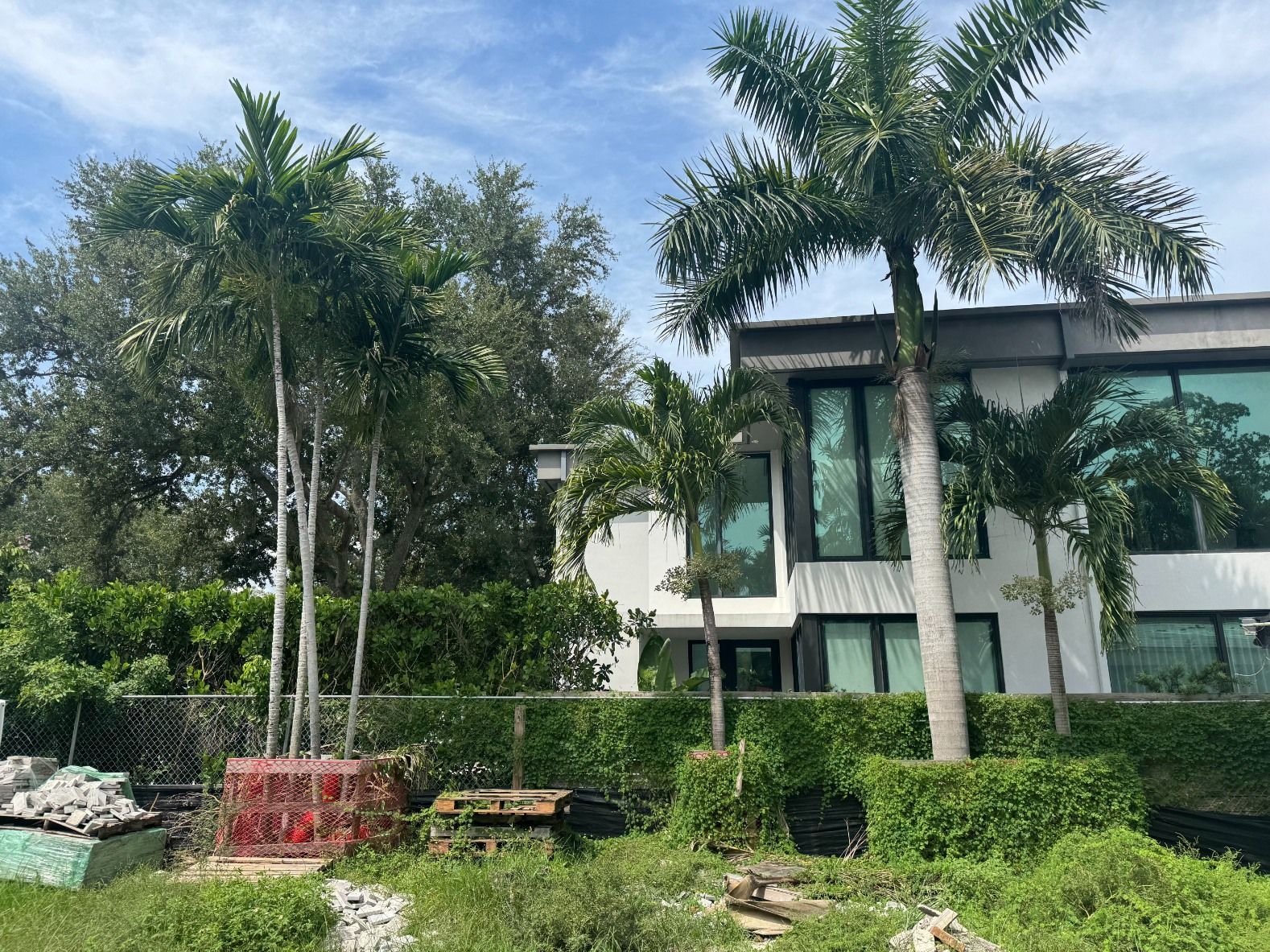 Tall palm trees stand in front of a modern two-story white house with large glass windows and a manicured hedge.
