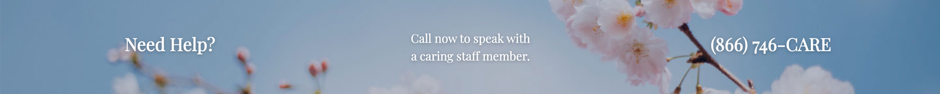 a picture of flowers with the words need help and call now to speak with a care staff member