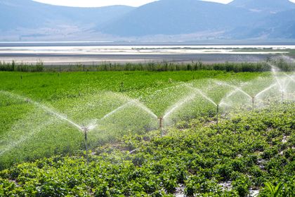 Irrigatori che innaffiano un rigoglioso campo agricolo verdeggiante con le montagne sullo sfondo.