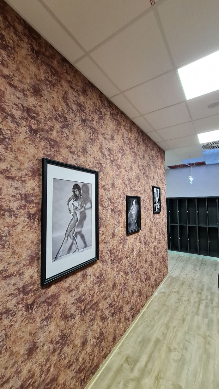 Referenz für arbeiten bei Fitnessstudio - Morefit - Innenansicht