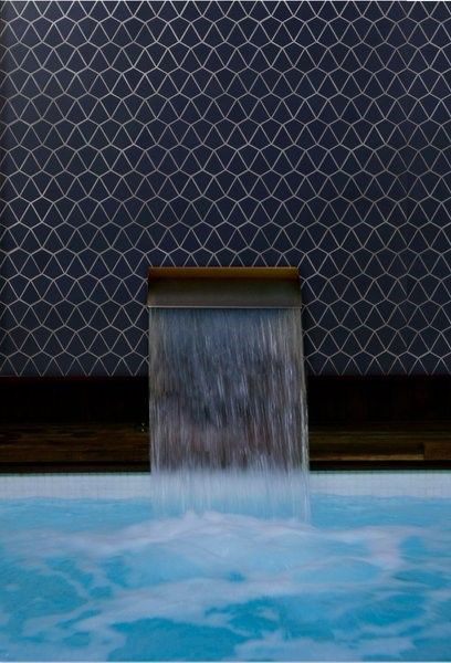 A potted plant sits on the edge of a swimming pool.