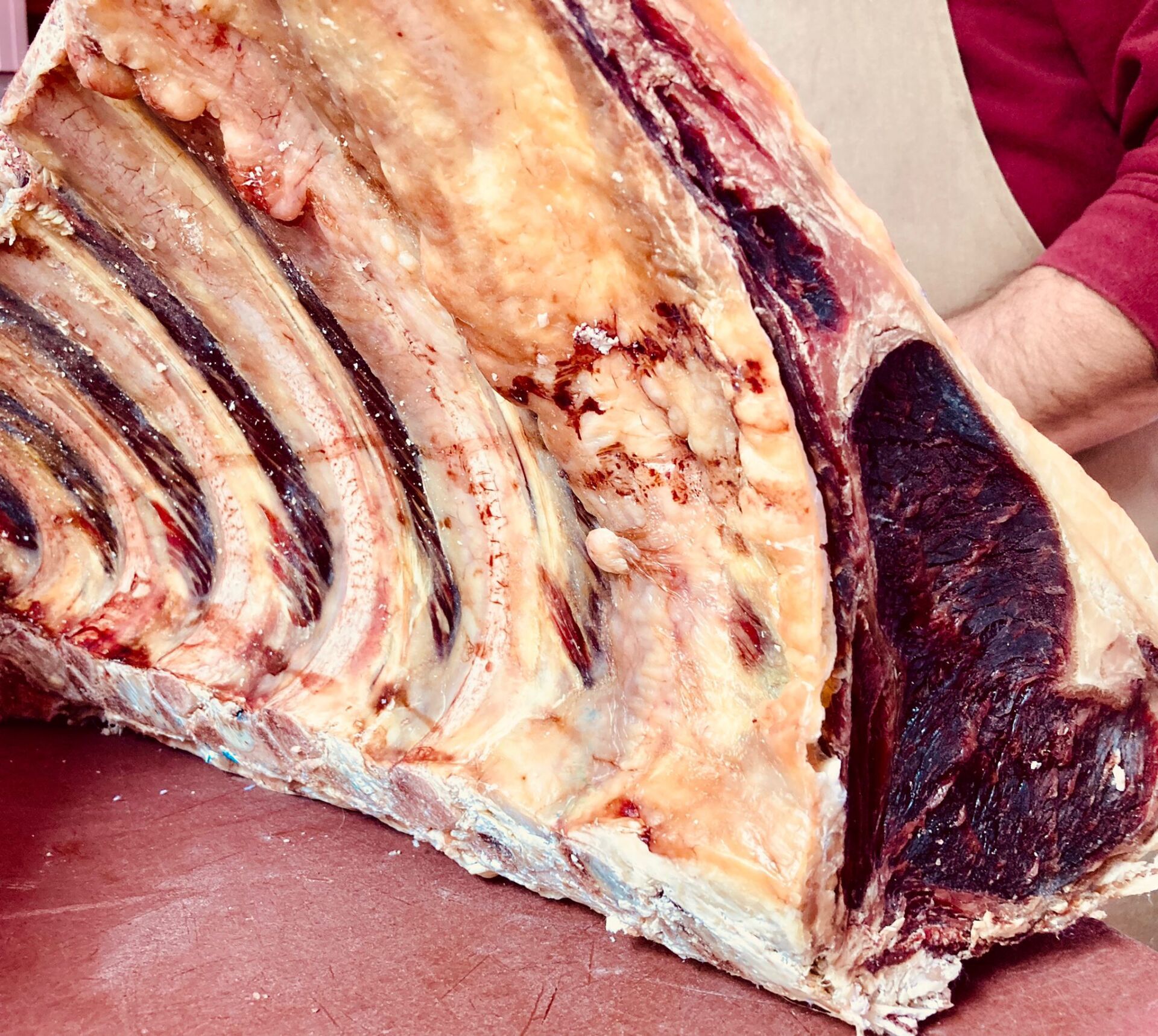 Un arrosto di costata di manzo crudo e grande, con costole visibili e carne rosso scuro.