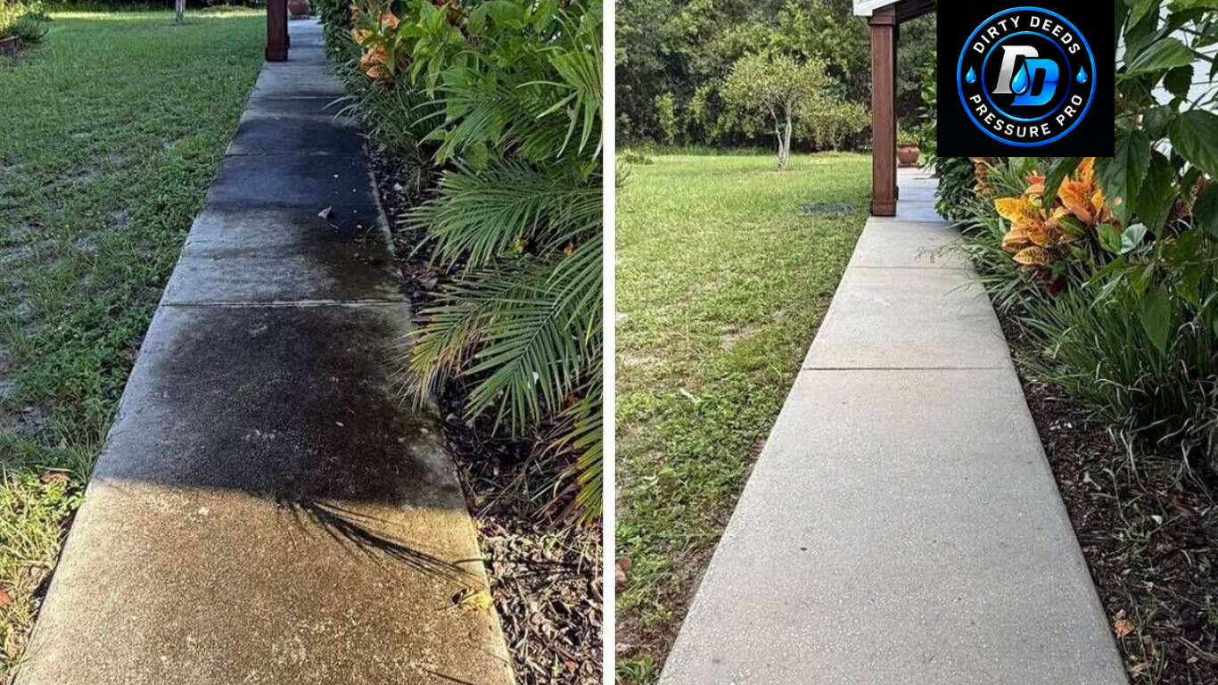 Sidewalk Cleaning