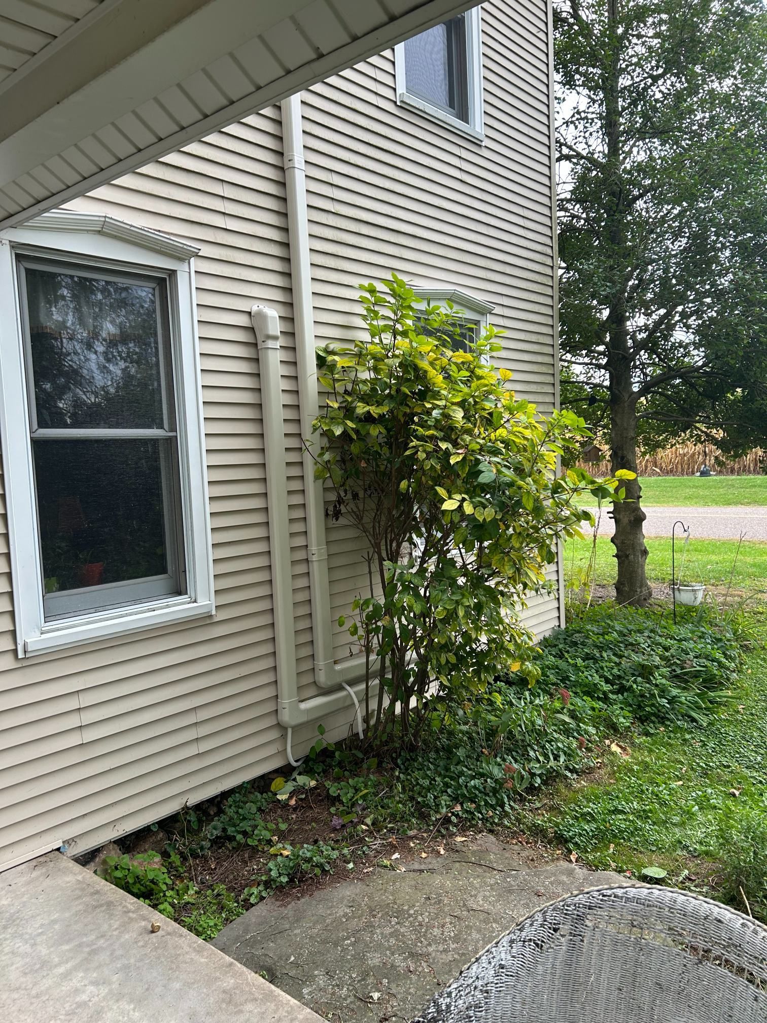 Side of a beige house with a window, shrubs, and a small concrete walkway beside a grassy yard.