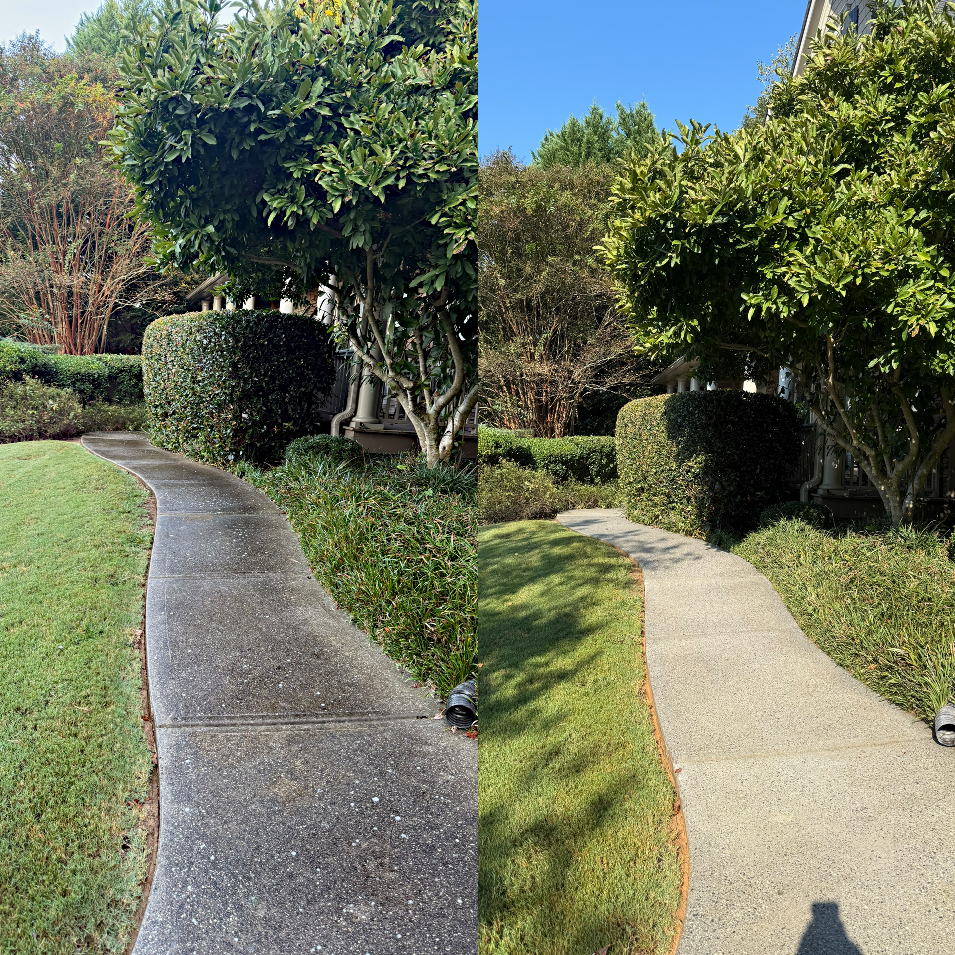 A split-screen view showing a dirty concrete walkway before and after it has been pressure washed.