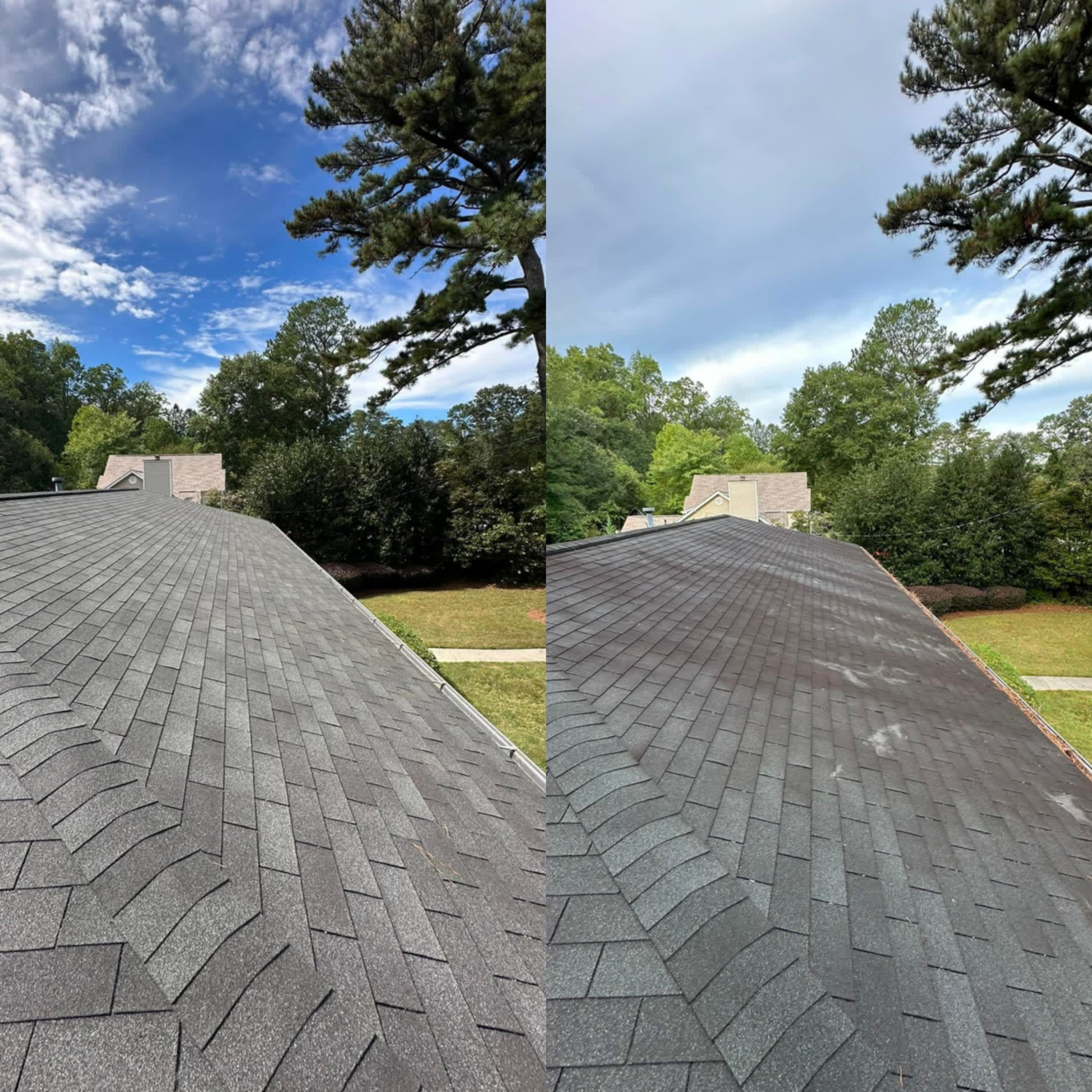 A side-by-side comparison of a roof before and after professional cleaning, showing the removal of dark algae stains.