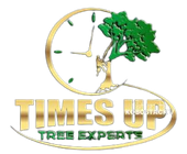 Time's Up Tree Experts LLC