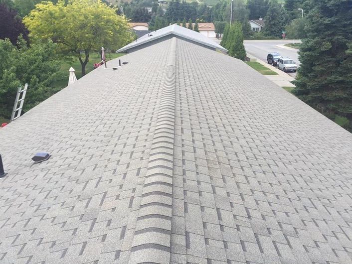 Gray shingled roof ridge with trees and a street visible in the background
