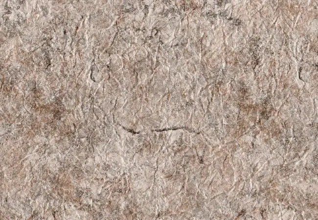 Un gros plan d'une de membrane de PVC couleur taupe vénitien