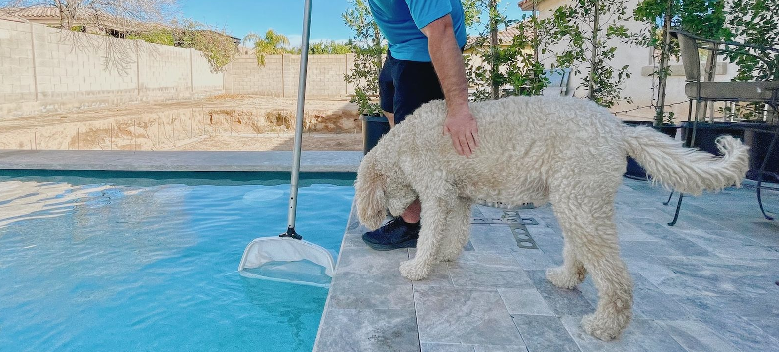 pool service scottsdale az