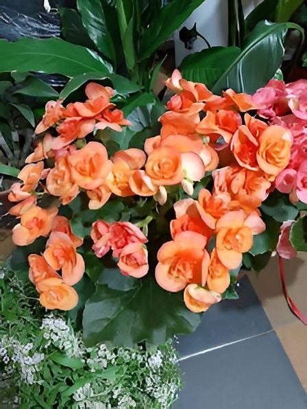 Ramo de rosas color melocotón y flores blancas envuelto en papel marrón y atado con una cinta.