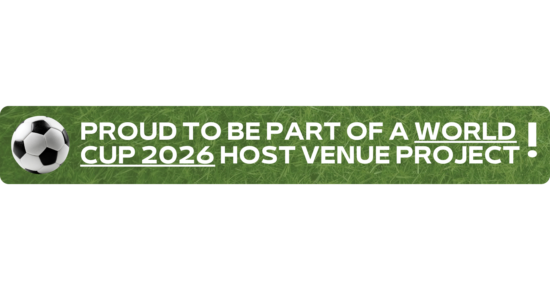 World Cup 2026 Turf