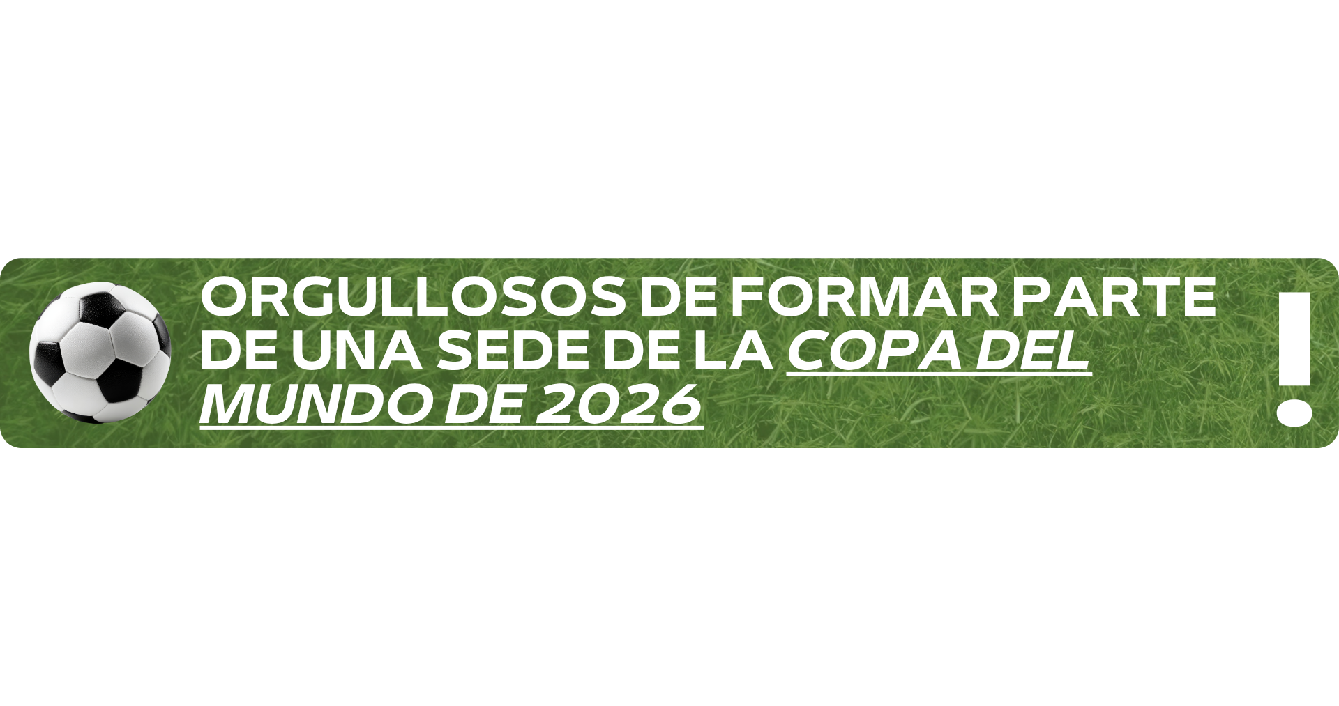 World Cup 2026 Turf