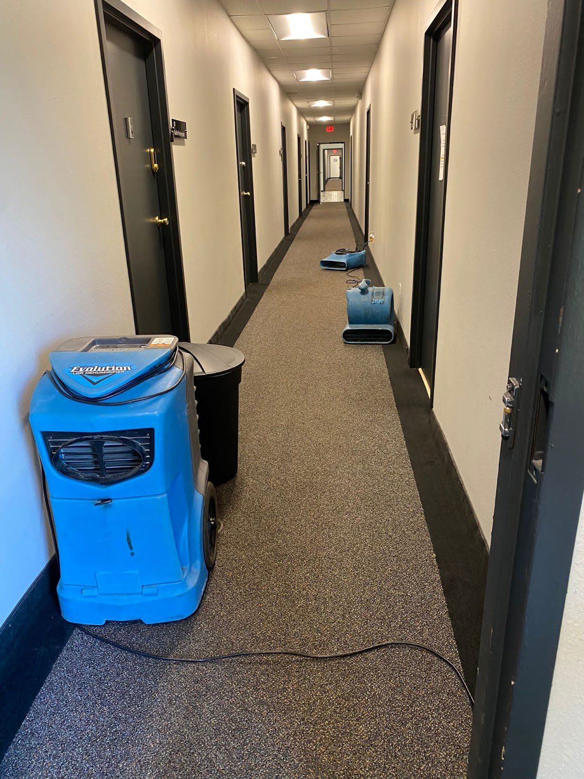 Hallway with carpet cleaning equipment. Blue machines on the hallway carpet. Black doors line the sides.