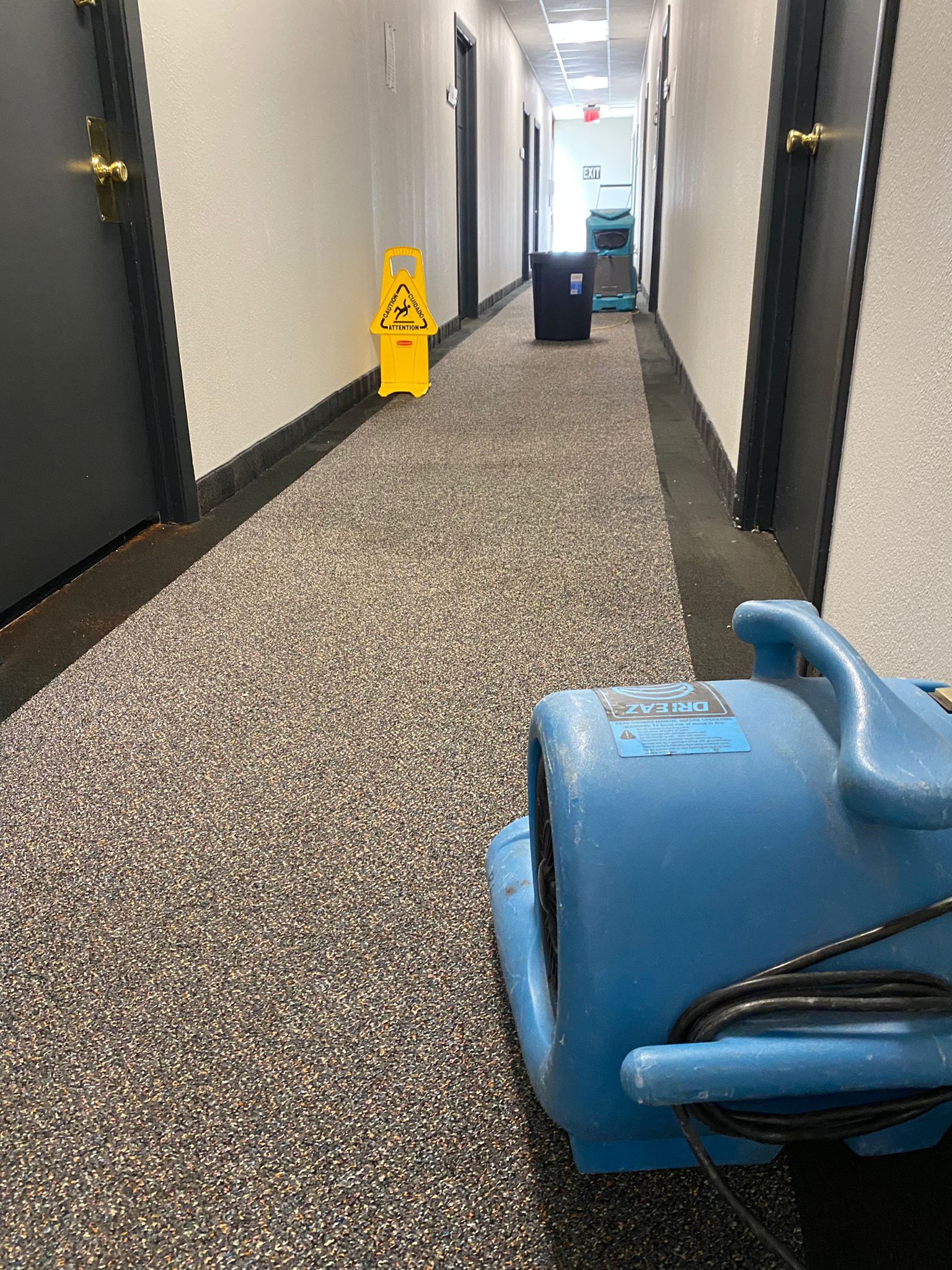 Blue air mover on a speckled carpeted hallway floor, a wet floor sign and trash can.