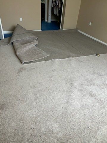 Beige carpet being pulled up from a room, revealing the underlayment.