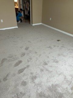 Gray carpet with dark wet footprints and a person cleaning in the background.