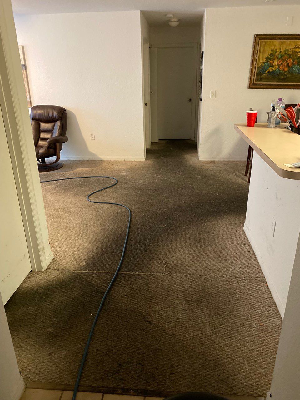 A room with dirty, stained carpet, a recliner, a doorway, and a kitchen counter.