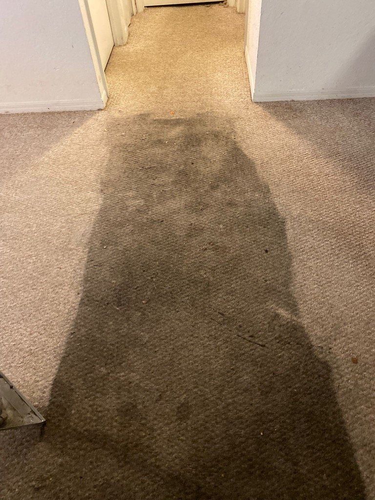 Beige carpeted hallway with a dark shadow and two doorways.