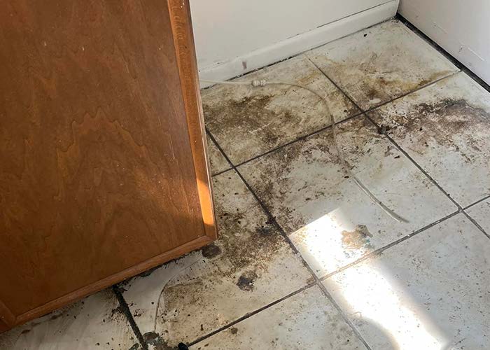 Filthy, moldy floor tiles stained with dark grime next to a wooden cabinet.