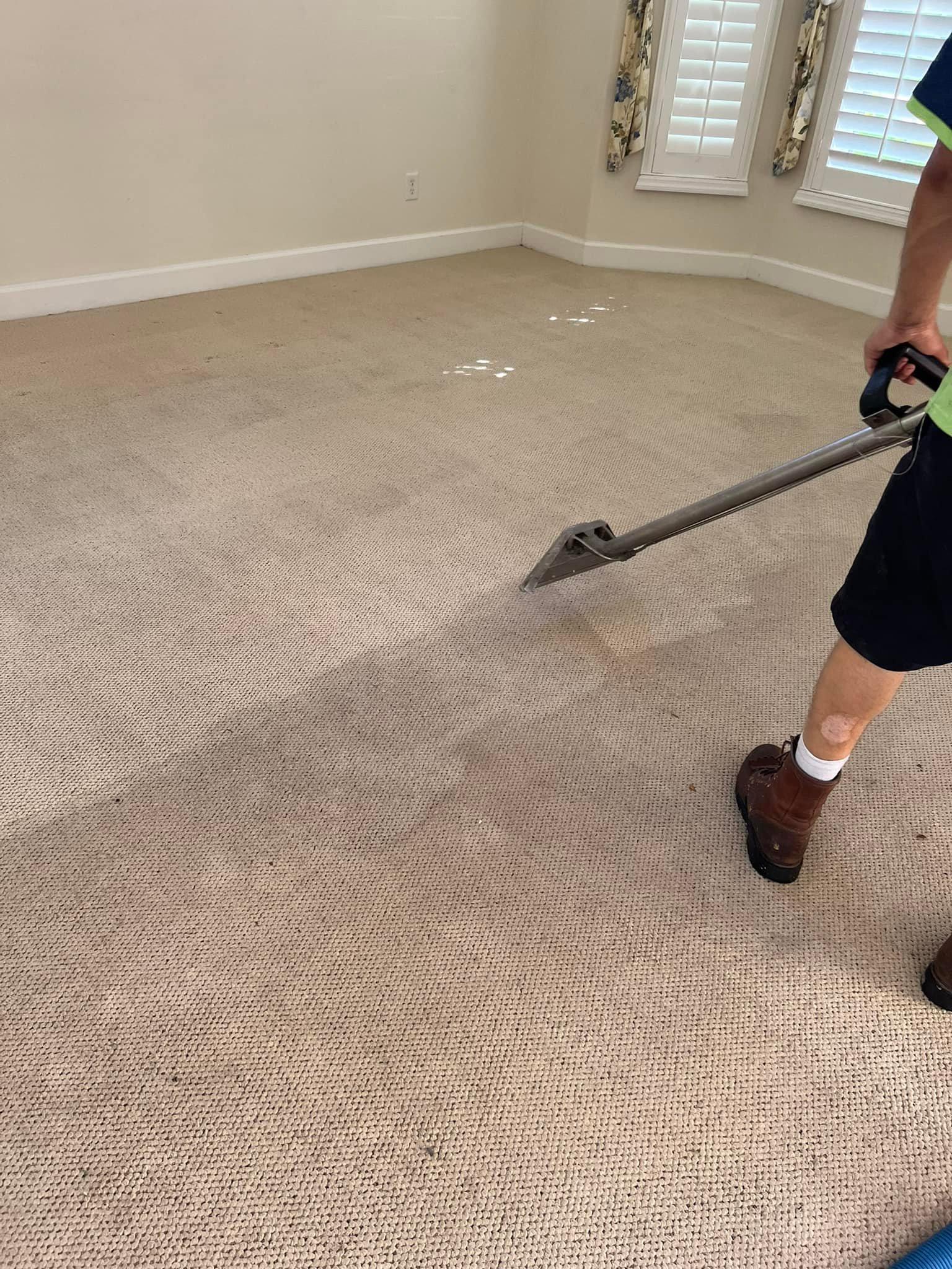 Person cleaning beige carpet with a steam cleaner in a room with white walls and a window.