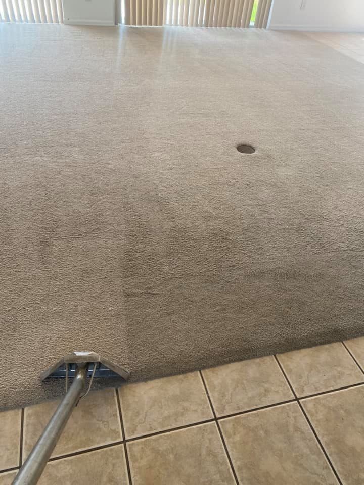 Carpet being cleaned with a machine. The cleaned section is lighter than the uncleaned.
