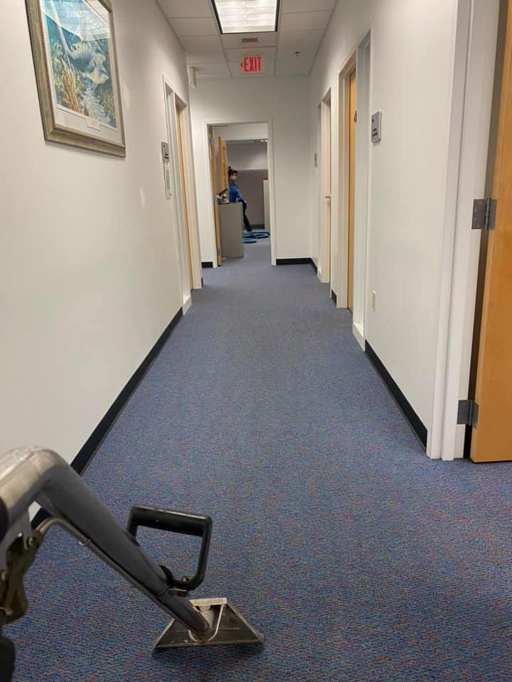 Hallway with blue carpet being cleaned; carpet cleaner visible in foreground. White walls and closed doors line the hall.