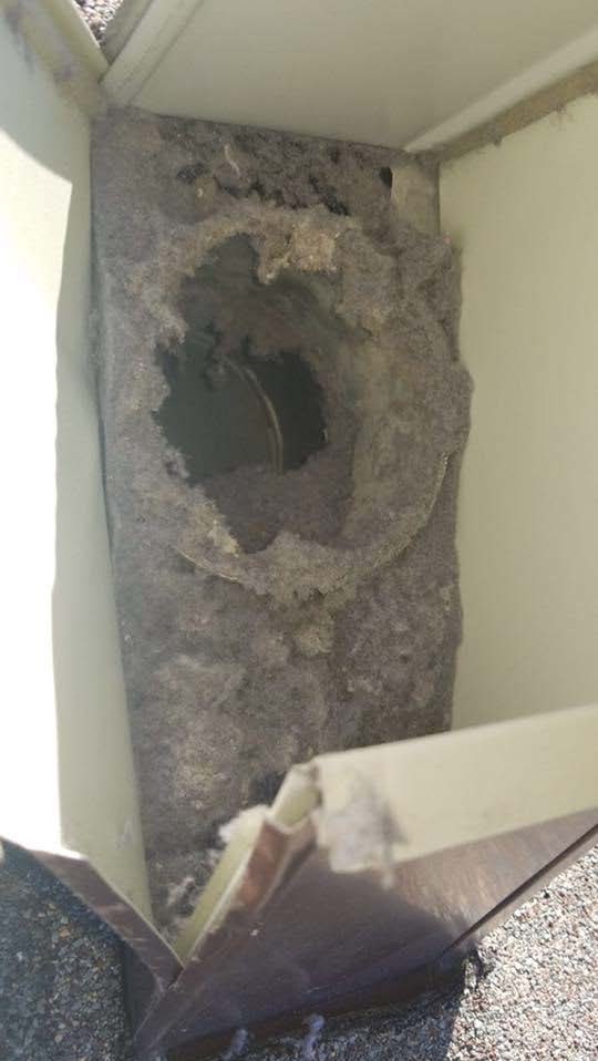 Clogged dryer vent with thick buildup of lint and debris around the opening.