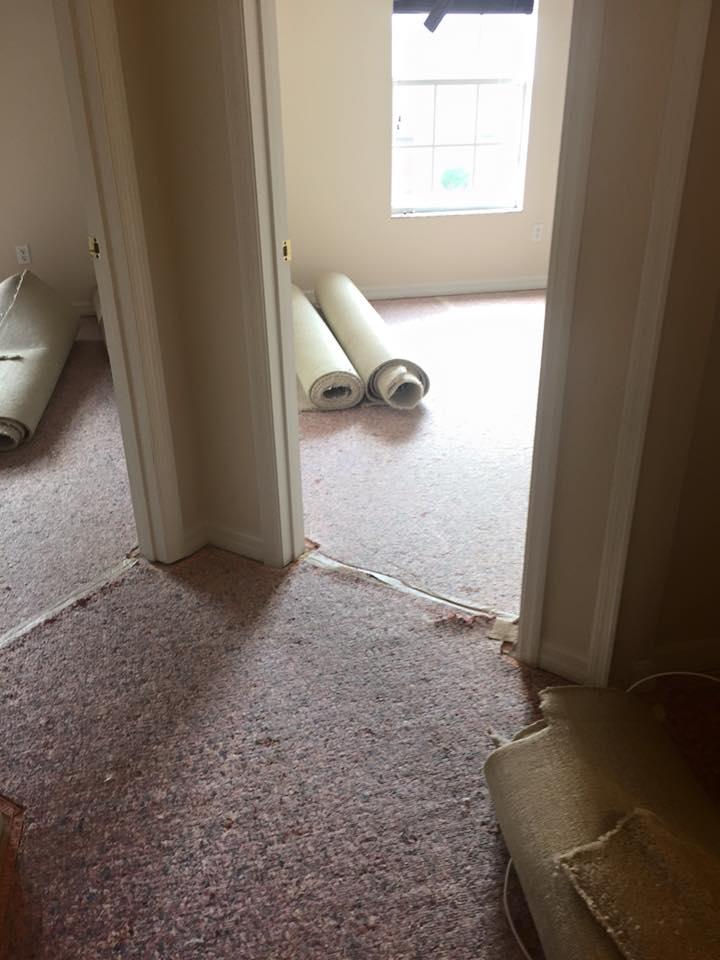 A doorway leading to a room with rolled-up carpet and a window. Dusty, reddish carpet in foreground.