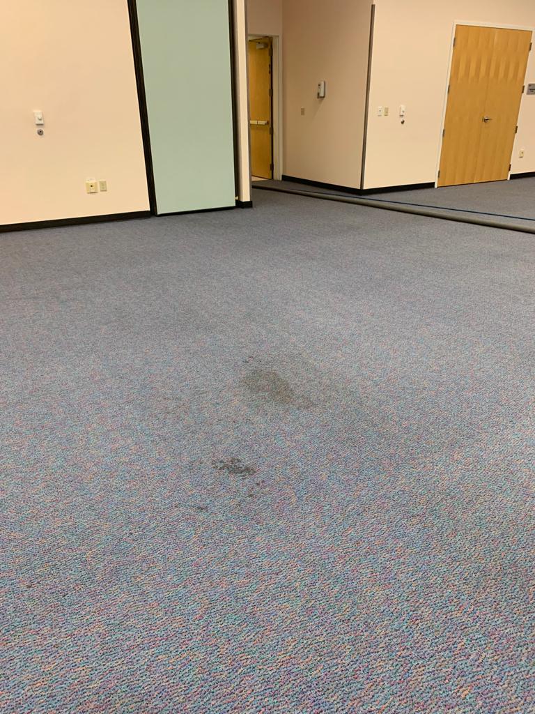 Carpeted room with a dark stain in the center, several doors and beige/green walls.